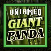 Untamed   Giant Panda